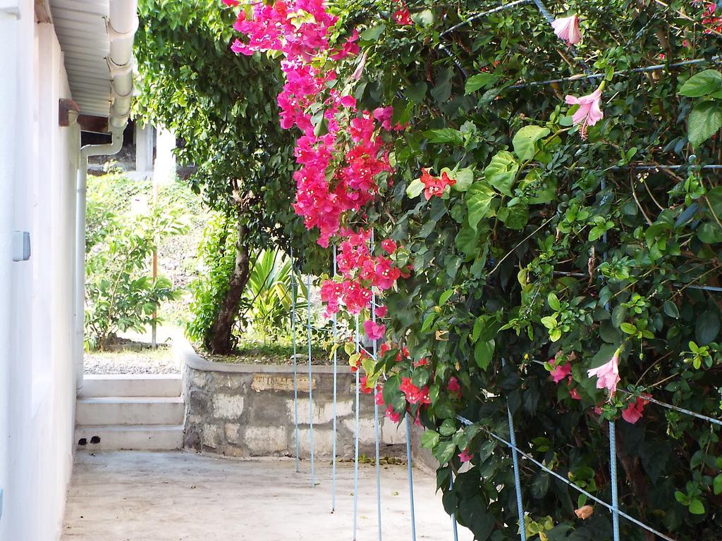 Le Paradiso Apartments Bambou エクステリア 写真